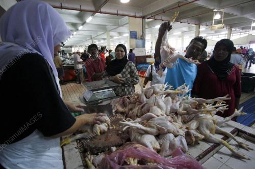 AYAM_RAMADHAN