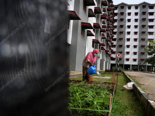 KEBUN KOMUNITI PPRS PINGGIRAN PUTRA