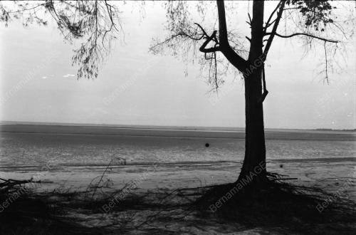 HAKISAN PANTAI
