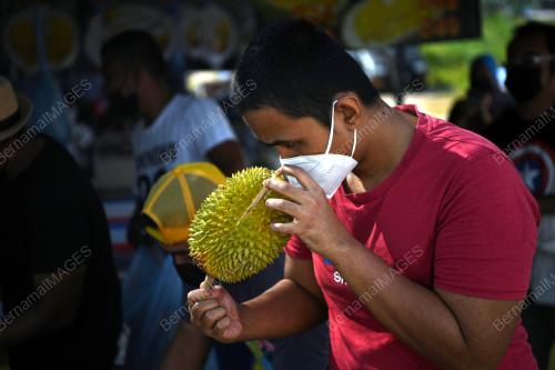 DURIAN PKP