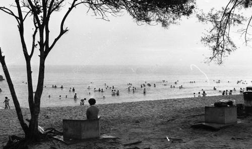PH06_26062015_TELUK_CEMPEDAK