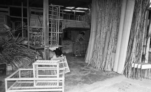 PH06_28012015_ROTAN