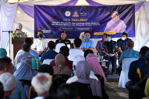 PROGRAM TARGET KEPADA PEKEBUN KECIL GETAH