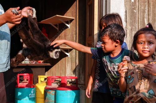 KAMPUNG ORANG ASLI TEMPAT PERSINGGAHAN SEEKOR UNGKA