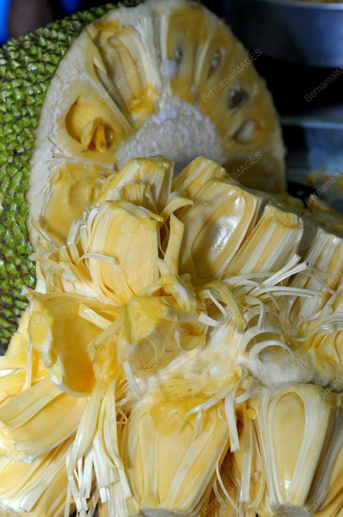 PH06_30102013_NANGKA_MADU