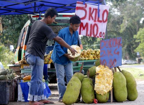 PH06_31052013_BUAH