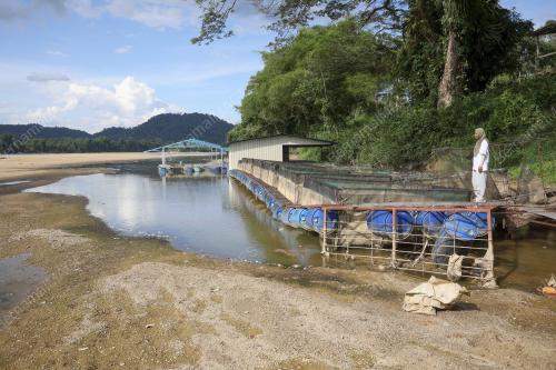 EL NINO : SUNGAI PAHANG SURUT & KERING