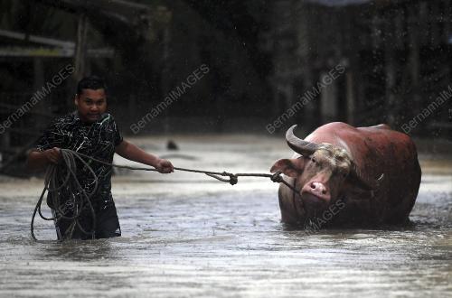 PH07_03012018_BANJIR