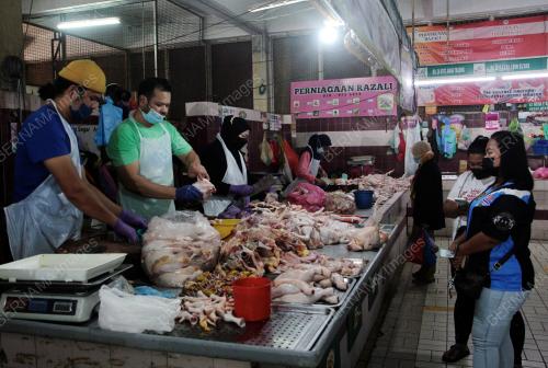 MEMBELI AYAM BERSIH