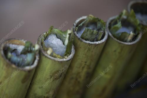 LEMANG DAUN TEBU
