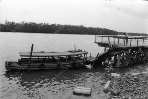 Kanak-kanak menaiki bot