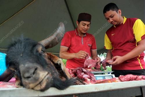 PH07_04062019_KAMBING