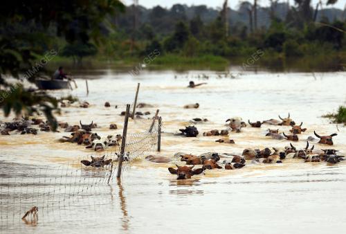 PH07_05012018_BANJIR