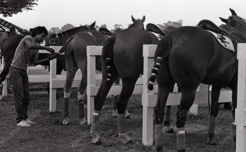 PERTANDINGAN POLO