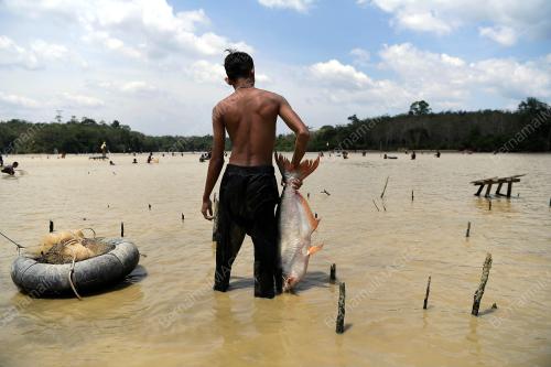 PESTA MENJALA IKAN