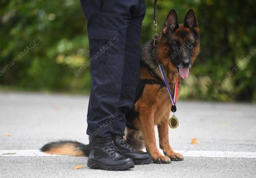 ANJING K9 POLIS PAHANG