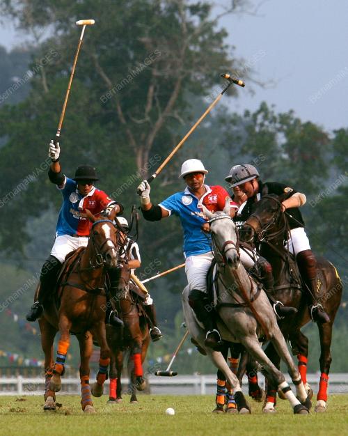 POLO