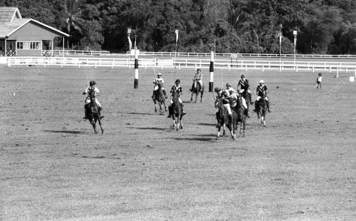 PH07_14072015_POLO