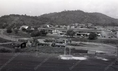 PEMERIKSAAN KAYU BALAK