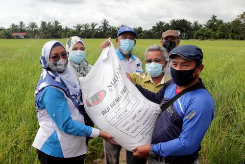 TS DR. SITI A'IASAH HASHIM