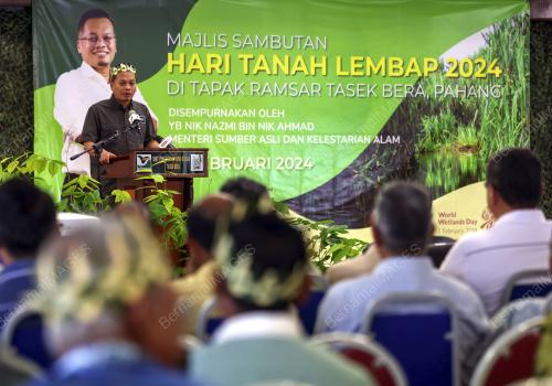 NIK NAZMI NIK AHMAD