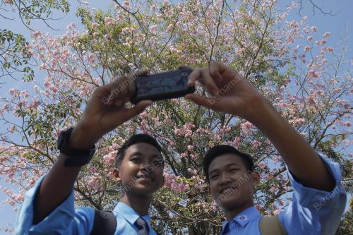 PH07_19042016_BUNGA