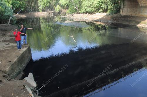 PH07_21032016_SUNGAI_HITAM