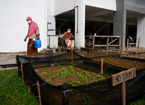 KEBUN KOMUNITI PPRS PINGGIRAN PUTRA
