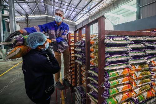 PAHANG TERIMA 900 TAN METRIK BERAS PUTIH TEMPATAN
