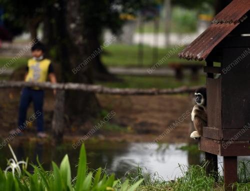 TAHUN BARU 2021