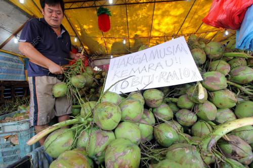 PH08_01032014_KELAPA