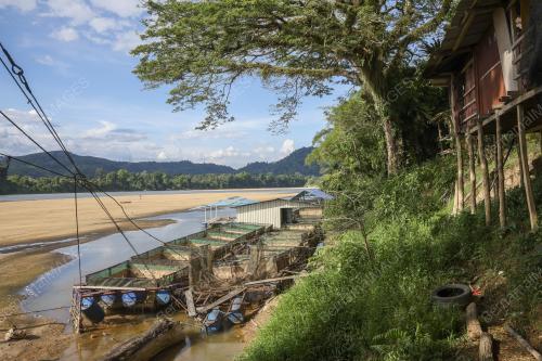 EL NINO : SUNGAI PAHANG SURUT & KERING
