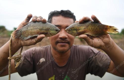 PH08_02122019_TENGKUJUH