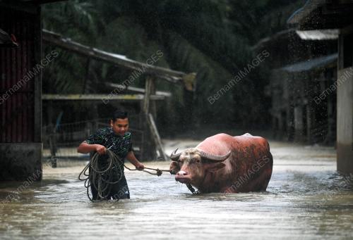 PH08_03012018_BANJIR
