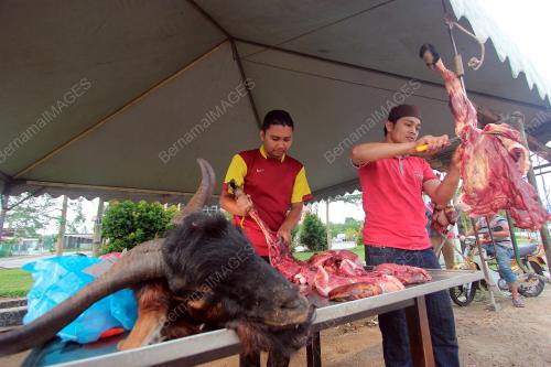 PH08_04062019_KAMBING