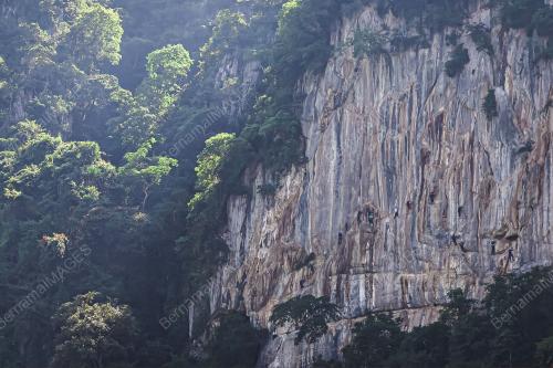 VIA FERRATA DAN ZIPLINE DI GUA TAGANG