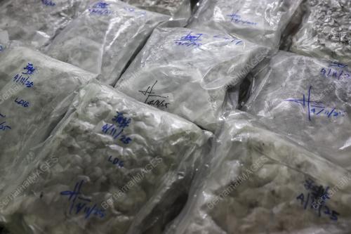 POLIS PAHANG RAMPAS DADAH JENIS GANJA BERNILAI 5.43 JUTA