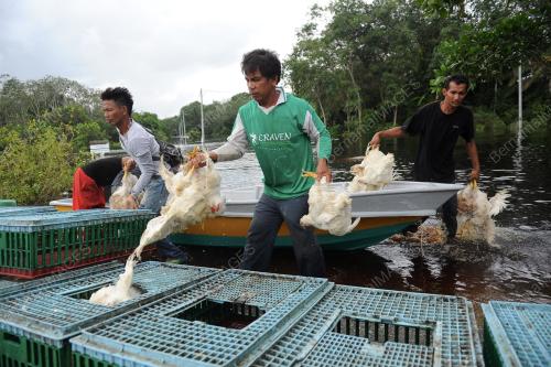 PH08_11122013_BANJIR