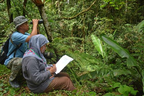 PH08_14052016_MENGENAL_BURUNG