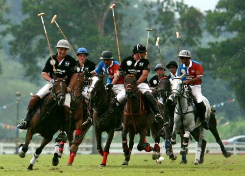 POLO