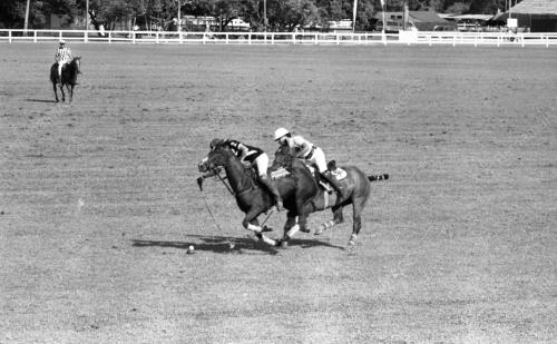 PH08_14072015_POLO