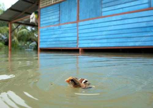 BANJIR PAHANG
