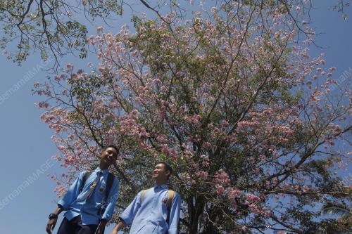 PH08_19042016_BUNGA1