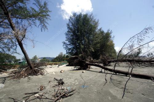 HAKISAN PANTAI TAMAN GELORA