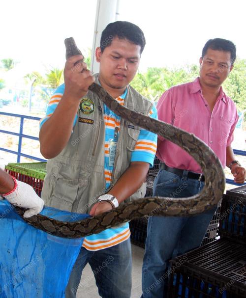 PERHILITAN