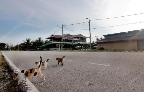 PKPD KAMPUNG TANJONG LUMPUR