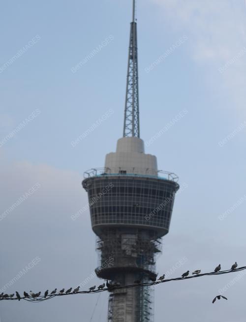 PH08_25072019_MERPATI