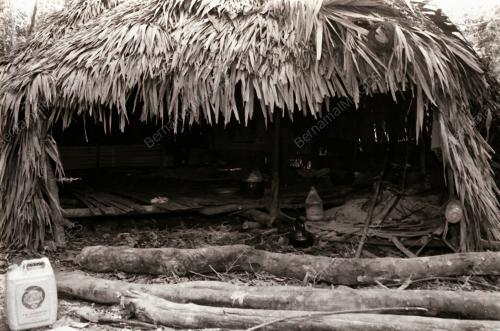SUKU KAUM ASLI BATEK KUALA TAHAN