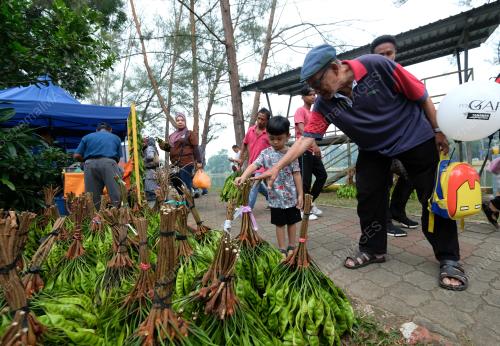 PH08_27072019_PELADANG