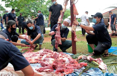 IBADAH KORBAN